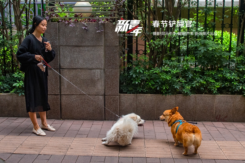 組團(tuán)大戰(zhàn)蛇界 《瘋狂貪吃蛇》團(tuán)戰(zhàn)模式趣味十足