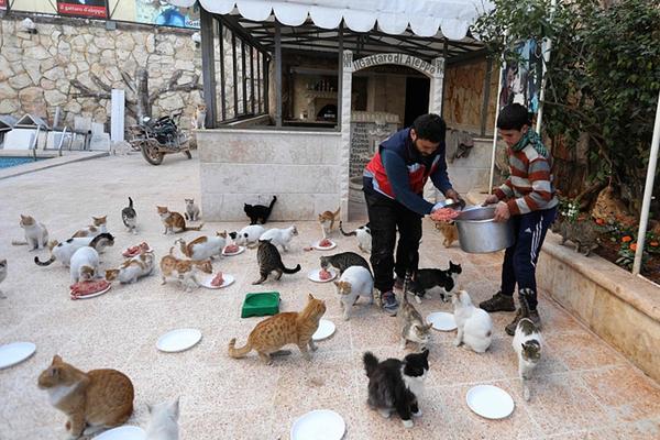 《君臨online》刪檔計(jì)費(fèi)測(cè)試即將開(kāi)啟