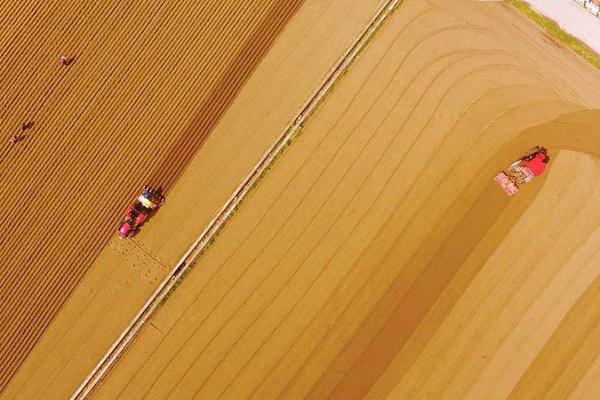 《新劍與魔法》周年慶豪送黃金屋