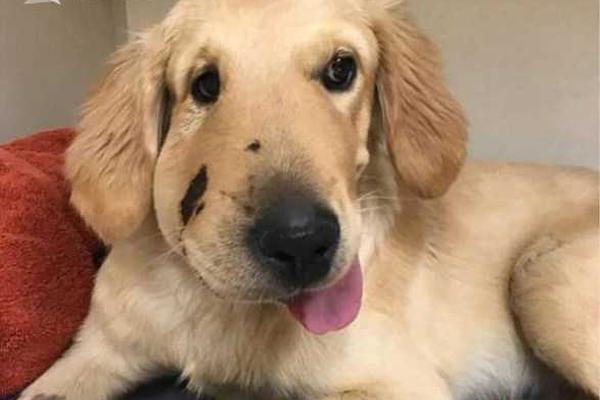 《俠客風(fēng)云傳》手游推遲iOS發(fā)售時(shí)間[圖]