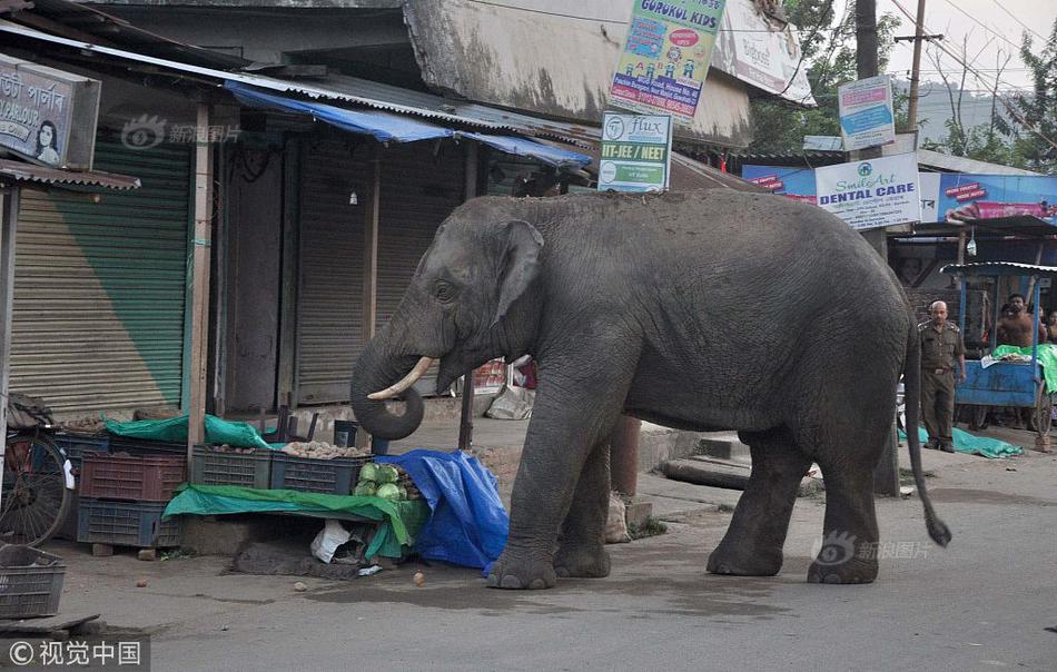 《英雄使命》3月25日首測(cè) 獨(dú)家劇情一飽眼福