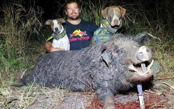 《問(wèn)道》手游3月資料片全新降級(jí)功能開(kāi)放