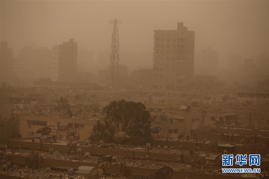 桃花十里 《三生三世十里桃花》手游邀你踏春