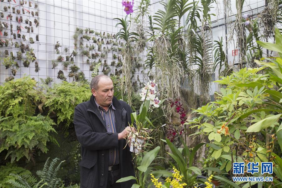 百花齊放真奇跡《全民奇跡MU》2.60版本上線(xiàn)[多圖]