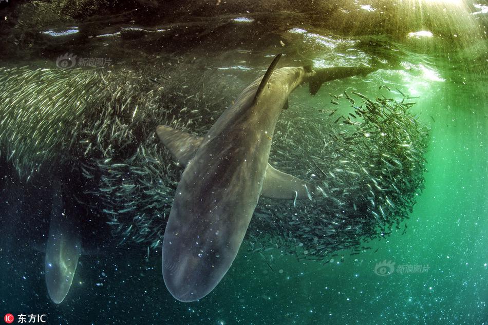 《仙劍奇?zhèn)b傳3D回合》全新資料片問(wèn)情篇已上線(xiàn)