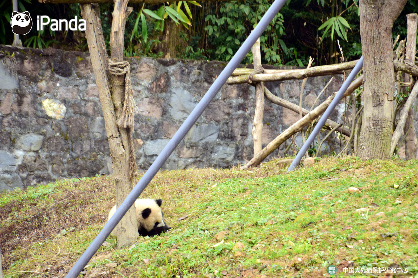 《九陰》手游第四屆武林至尊爭(zhēng)奪戰(zhàn)正式開(kāi)啟