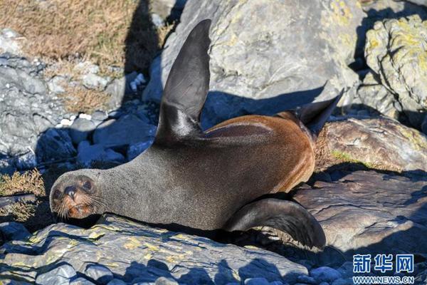 新征程新戰(zhàn)場(chǎng) 《龍紋三國(guó)》重磅更新今日來(lái)襲