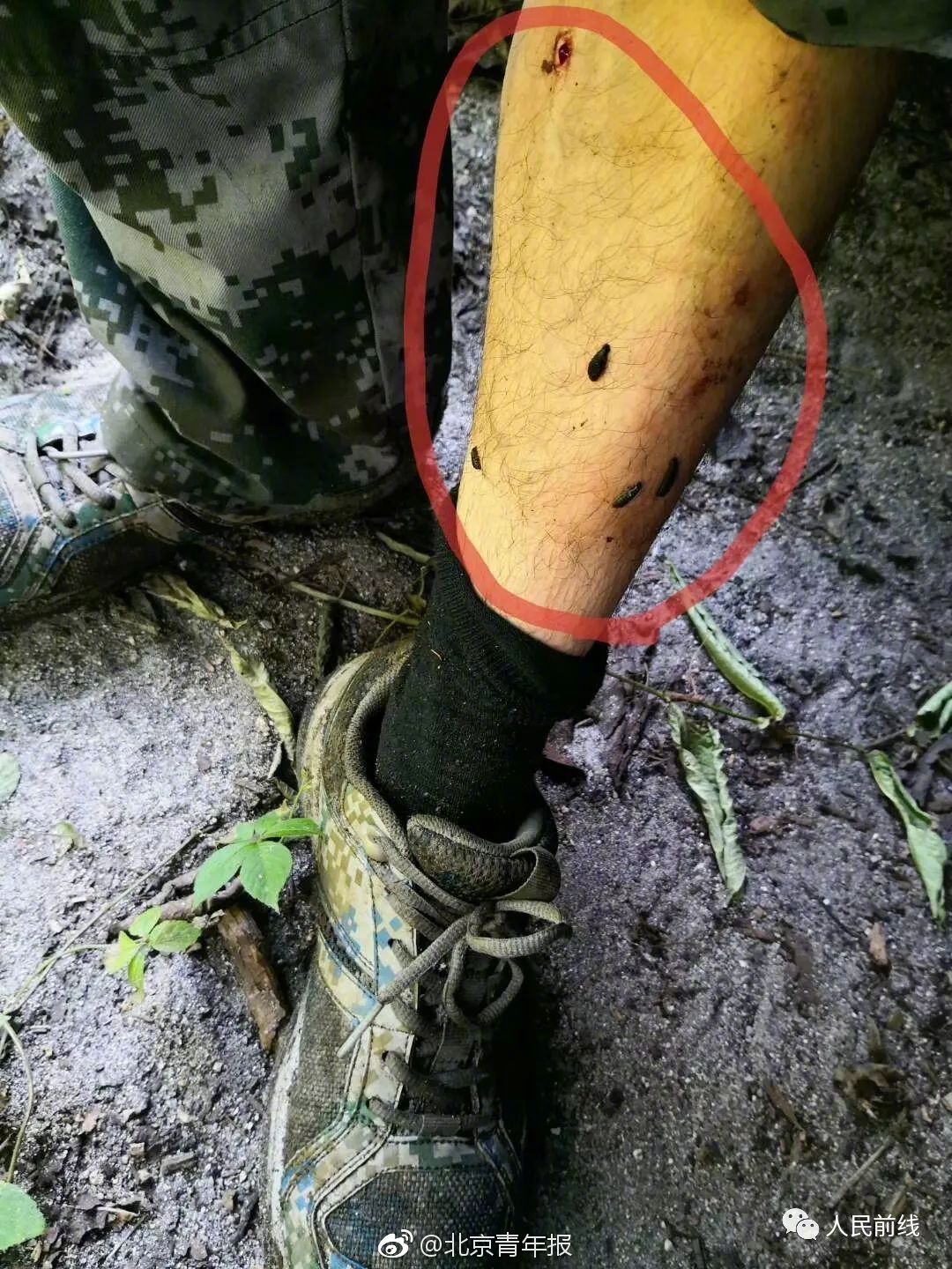 老哥穩(wěn)！《我的使命》教你如何制霸競(jìng)技場(chǎng)