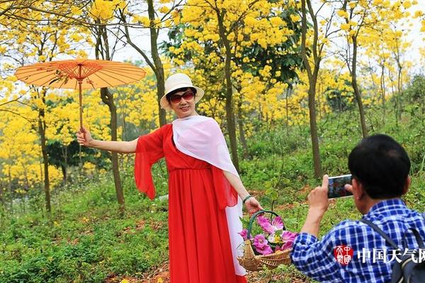 桃花十里 《三生三世十里桃花》手游邀你踏春