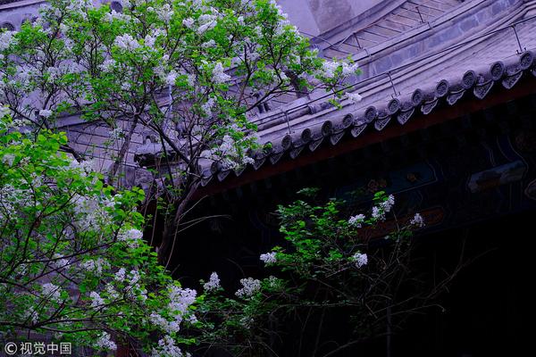 《劍雨封天》可愛(ài)靈童陪你戰(zhàn)斗