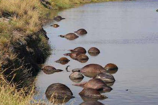 柳巖攻沙首秀 《傳奇世界手游》今日騎戰(zhàn)公測(cè)