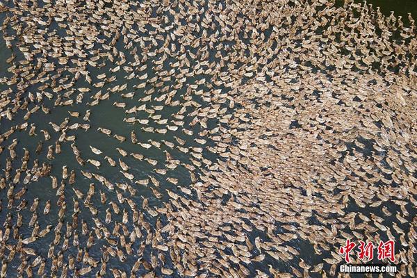 我家皇子初長(zhǎng)成 《京門(mén)風(fēng)月》皇子系統(tǒng)或啟聯(lián)姻