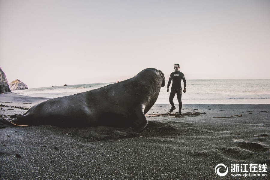 老哥穩(wěn)！《我的使命》教你如何制霸競(jìng)技場(chǎng)