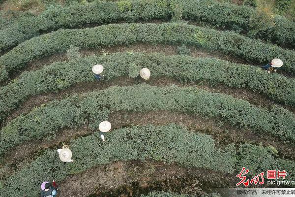 《機(jī)械迷宮》正式登陸AppStore中國(guó)區(qū)