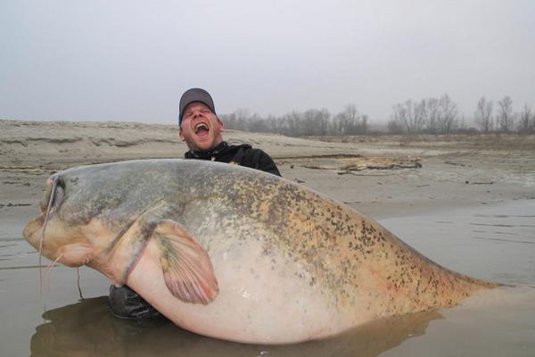 針?shù)h相對(duì)的戰(zhàn)斗 《西游萌萌》煉獄之塔