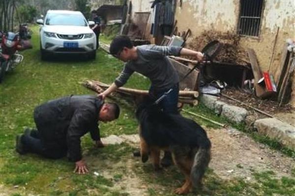 我的妖精就是這么暖心 《曙光破曉》激萌來(lái)襲